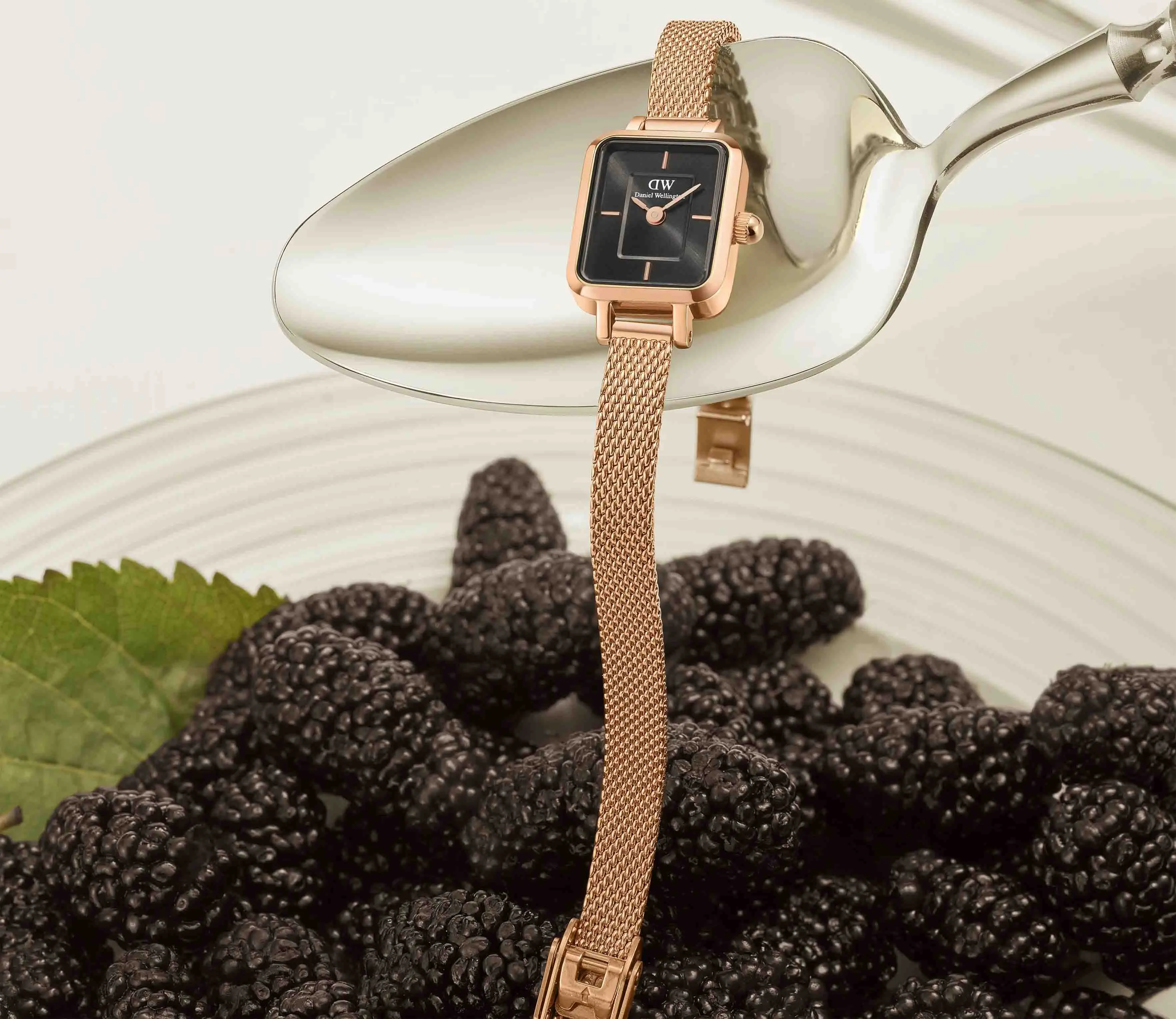 Часы Daniel Wellington Quadro Mini Melrose Onyx DW00100647 купить в  Набережных Челнах по цене 17867 RUB: описание, характеристики