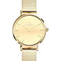 Daniel Wellington Daniel Wellington Petite Reflection Gold DW00100797  DW00100797 кварцевые женские часы  золотой циферблат, браслет нержавеющая сталь с pvd-покрытием — вид спереди