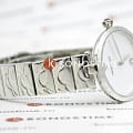 Emporio Armani Emporio Armani Arianna AR11235  — задняя крышка сталь металл корпуса итальянские часы