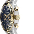 Plein Sport Plein Sport Wildcat PSGBA1223  немецкие мужские часы на браслете сталь с ip покрытием боковой вид