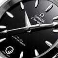 Часы Omega Seamaster Aqua Terra 220.10.34.20.01.001 фото 4